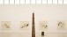 The North Gallery at Turner Contemporary, showing works by Tracey Emin