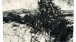 David Tress, 'The Time of the Elderflower', graphite on paper, 30x40cm, 2011, private collection