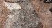 Detail from the mural showing a boy on a tripod stool