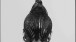 J.D. 'Okhai Ojeikere,HD-55774 (Beri Beri), from the series 'Hairstyles'. Gelatin silver print. Nigeria 1974. © Estate of J.D. 'Okhai Ojeikere, Victoria & Albert Museum