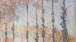  Claude Monet, Poplars on the Bank of the Epte River, 1891 (Philadelphia Museum of Art: Bequest of Anne Thomson in memory of her father, Frank Thomson, and her mother, Mary Elizabeth Clarke Thomson, 1954-66-8)