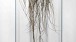 Jayne Dyer, Trophy, 2012. TAG Fine Arts