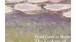 Cover of The Ecology of Impressionism