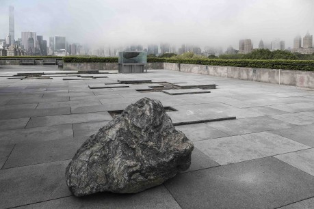 Installation view of The Roof Garden Commission Pierre Huyghe at The Metropolitan Museum of Art, 2015-1