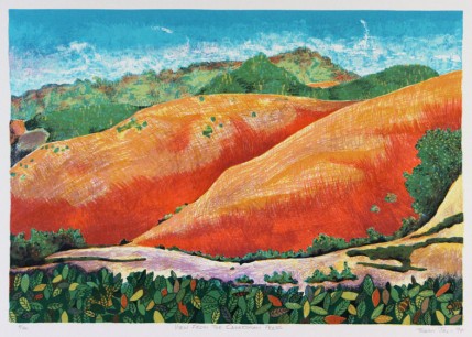 Thami Jali, View from the Caversham Press, 1994