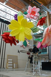 Choi Jeong Hwa installing Flower Chandelier, 2011, Auckland Art Gallery. Fabric, fibre reinforced plastic, metal, motors, LED lighting.