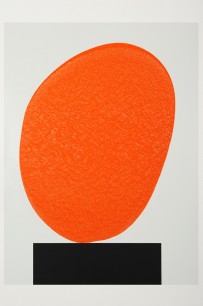 David Batchelor, Colour Chart (2011), 183 x 122 cm. Gloss & matt paint in Dibond.  © David Batchelor, used with permission