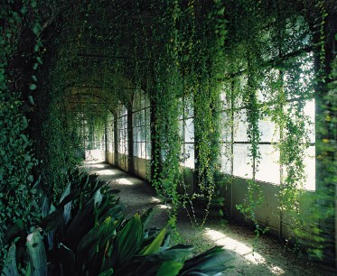 From Italy’s Private Gardens by Helena Attlee, with photographs by Alex Ramsay