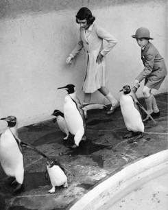 Princess Elizabeth and penguins at London Zoo (1938) © AP PA