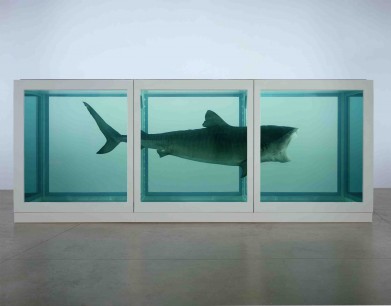 Damien Hirst     The Physical Impossibility of Death in the Mind of Someone Living 1991  Glass, painted steel, silicone, monofilament, shark and formaldehyde solution