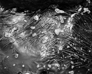 Adam Thorman, 03. Photographic print, 28 x 35 ins
