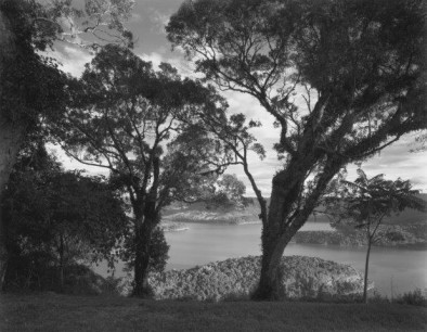 VALDIR CRUZ Landscape with Trees and Lake pigment on paper 30 x 38cm, 23 of 25