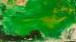 Helen Frankenthaler, Overture, The Helen Frankenthaler Foundation, Inc./Artists Rights Society (ARS), New York