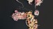 Kenneth Draper RA, Dawn of Spring (2011), Mixed media construction