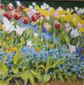Maria Bell-Salter, Tulips and Forget-me-nots. Oil on linen 75x75cm